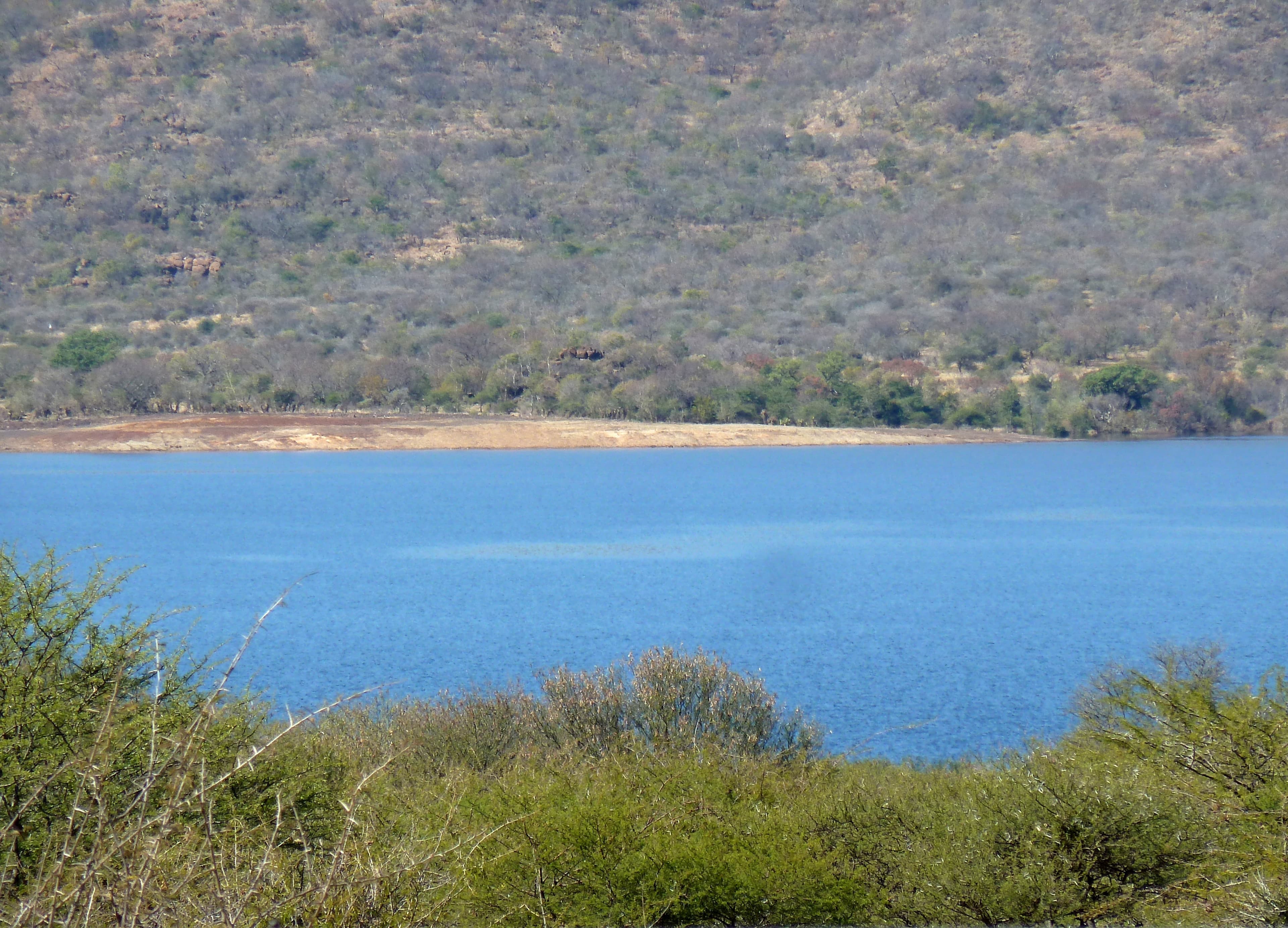Blue water and surrounding vegetation at De Hoop Dam in Limpopo, South Africa.