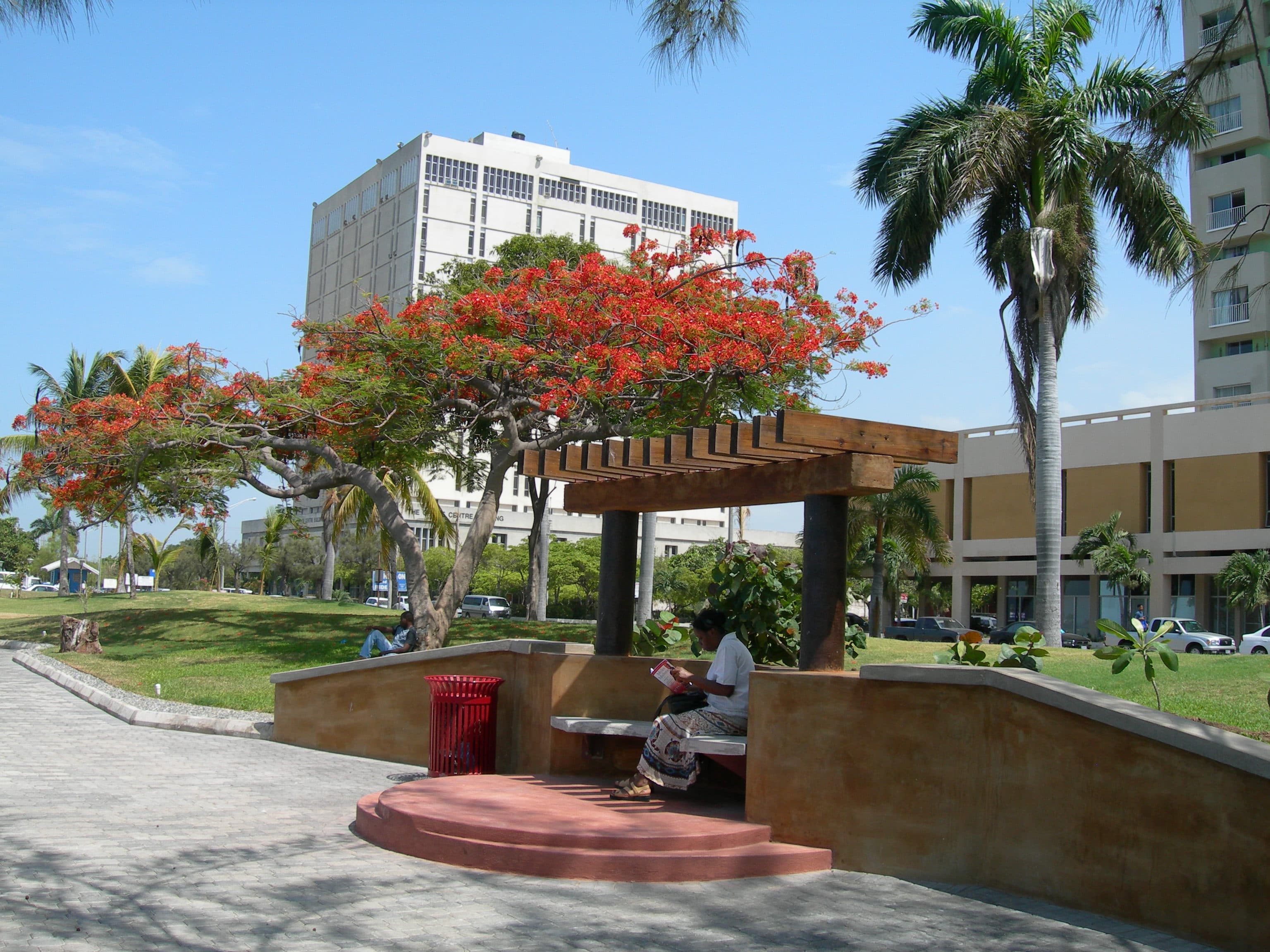 Urban Development Corporation offices behind trees and a waterfront shelter in Kingston