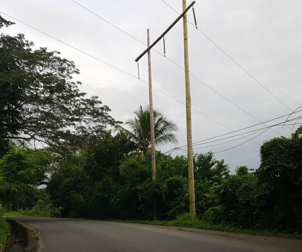 Wooden electricity-line supports and wires beside a road in Jamaica
